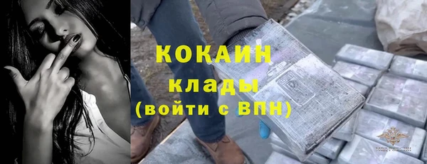 прущие грибы Белоозёрский