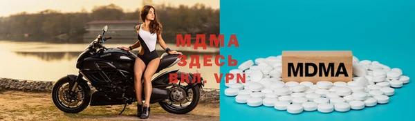 прущие грибы Белоозёрский