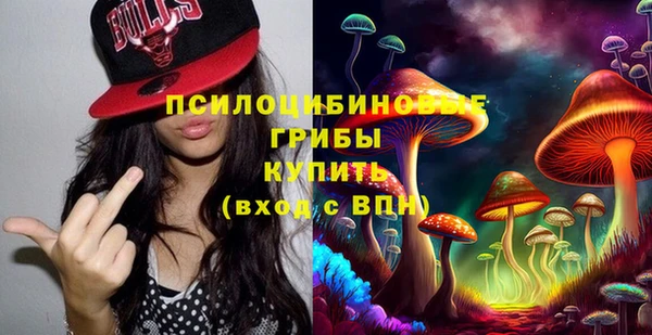 Альфа ПВП Белокуриха
