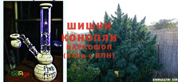 Альфа ПВП Белокуриха