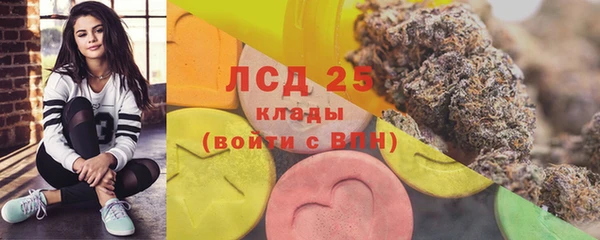 Альфа ПВП Белокуриха