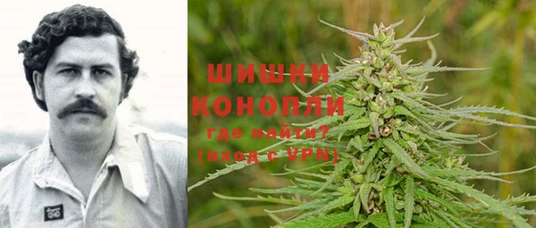 прущие грибы Белоозёрский