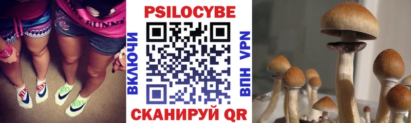 ссылка на мегу tor  Острогожск  Псилоцибиновые грибы мухоморы  как найти закладки 